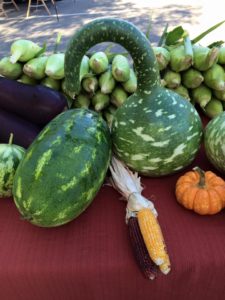 gourds